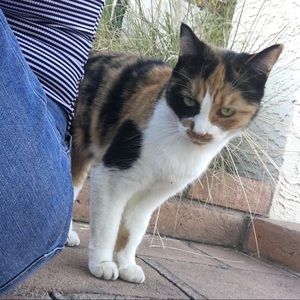 Meet your Posher, Olivia